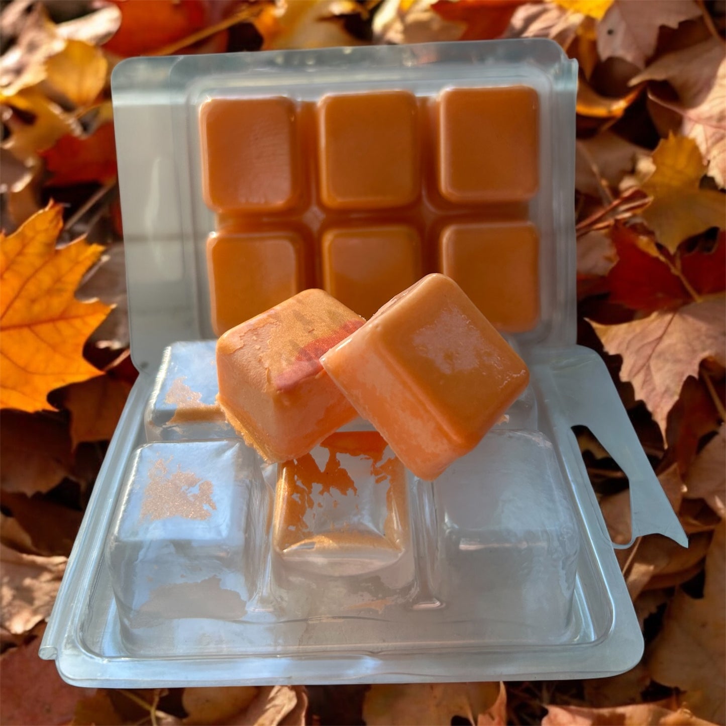 Pumpkin Spice & Brown Sugar Wax Melt
