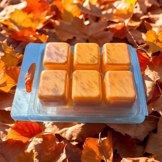 Pumpkin Spice & Brown Sugar Wax Melt